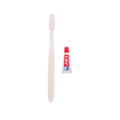Dental Kit